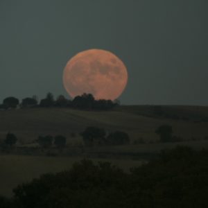 Soirée de l'Eclipse !